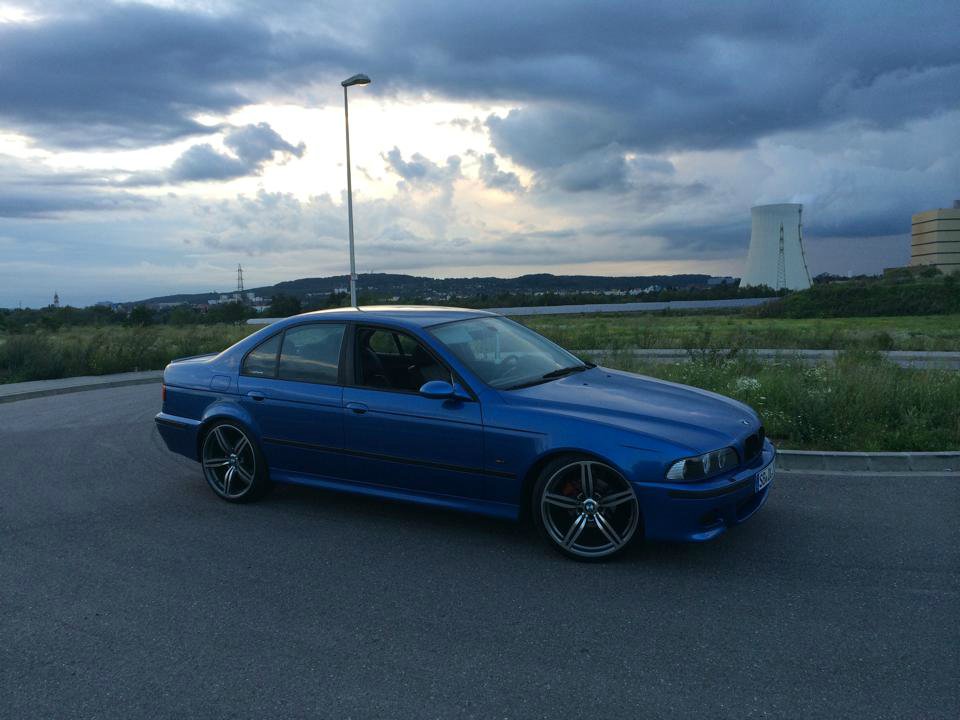 Blueberry yum yum - 5er BMW - E39