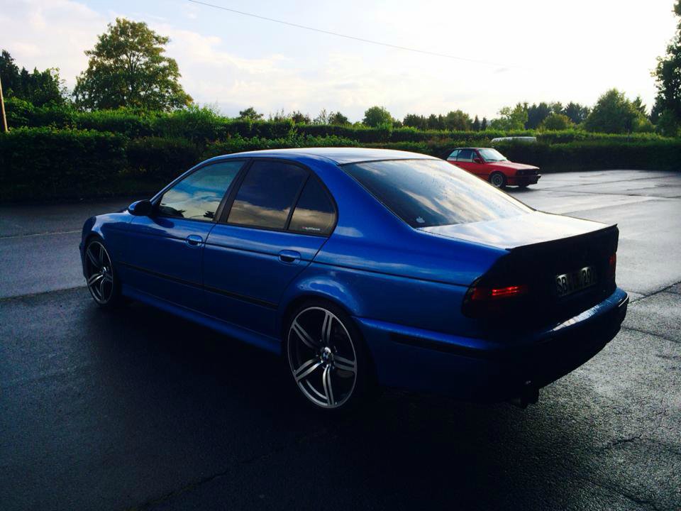 Blueberry yum yum - 5er BMW - E39