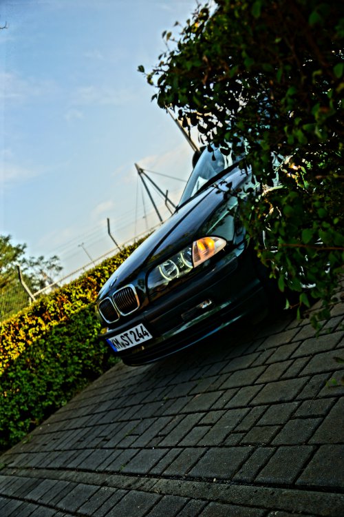 Green Terrorqueen - 3er BMW - E46