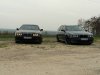 E39 530DA Touring - 5er BMW - E39 - IMG_0444.JPG