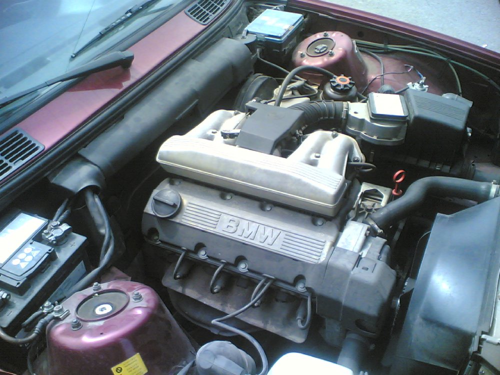 E30 325I 12V T F B .....M50 Managment - 3er BMW - E30