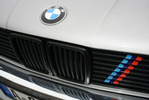 BMW 320i E30 Lachssilber M-Paket - 3er BMW - E30