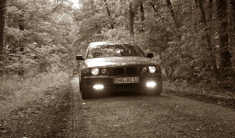 E46 Compact 316ti - 3er BMW - E46