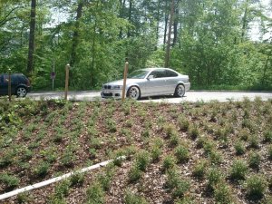 E46 CAPONE! - 3er BMW - E46