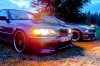 E46 Sedan - TeamZP - Update - 3er BMW - E46 - DSC01613.jpg