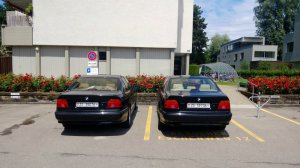 E39 528i Limousine - 5er BMW - E39 E39 528i Limousine - 5er BMW - E39