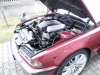 RED DEVILLLL     V8 POWER - Fotostories weiterer BMW Modelle - 536950_4303557192060_985544922_n.jpg