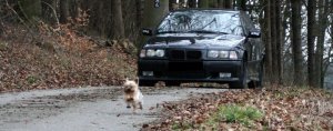 328 Daily Driftwagon - 3er BMW - E36