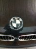 BMW 323i--(M-Paket II) - 3er BMW - E46 - IMG_0677.JPG