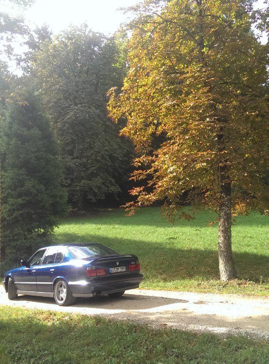 E34 M5 3,8l - 5er BMW - E34
