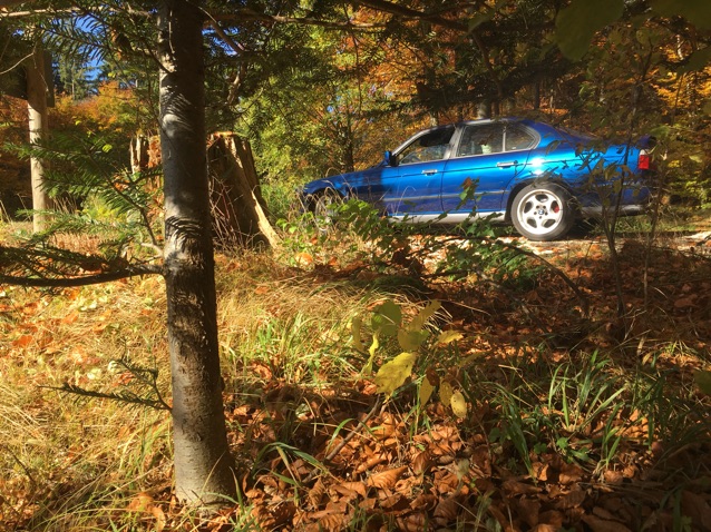 E34 M5 3,8l - 5er BMW - E34