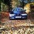 Bmw e39 Touring M Paket - 5er BMW - E39 - 548955_446652475381327_778253230_n.jpg