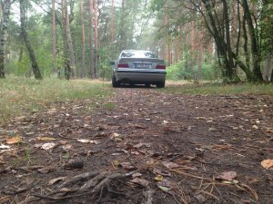 323IA Exklusiv Paket - 3er BMW - E36 323IA Exklusiv Paket - 3er BMW - E36