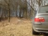 E46 Touring 330xd - 3er BMW - E46 - Im wald I.JPG