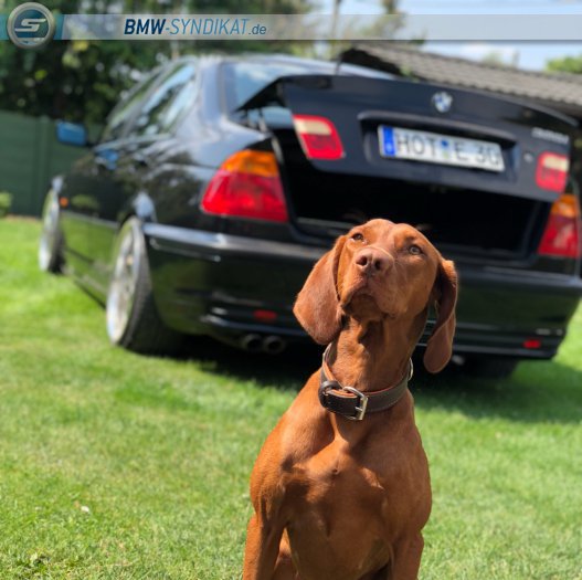BMW-Syndikat Fotostorie