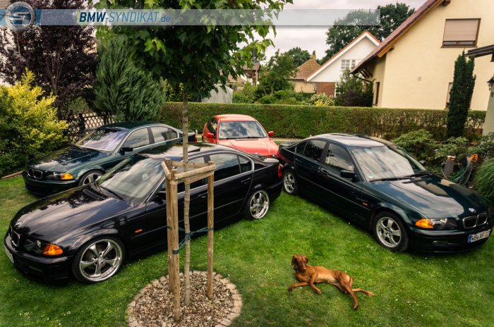 BMW-Syndikat Fotostorie