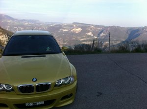 BMW-Synd
																	<br class=