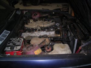 E30 320i "blaues Wunder" - 3er BMW - E30