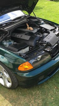 Komplettumbau, Motorswap, Breitbau, Frontumbau - 3er BMW - E46