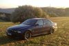 Peschejupp - 5er BMW - E39 - image.jpg