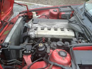 Red Pirat (Der rote Karren) - 5er BMW - E34