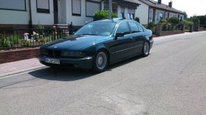 Mein Gemtlicher - 5er BMW - E39