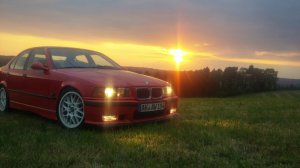 E36 323i Limosine, Daily - 3er BMW - E36