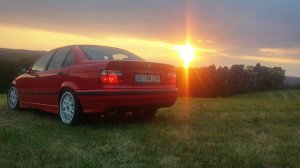 E36 323i Limosine, Daily - 3er BMW - E36