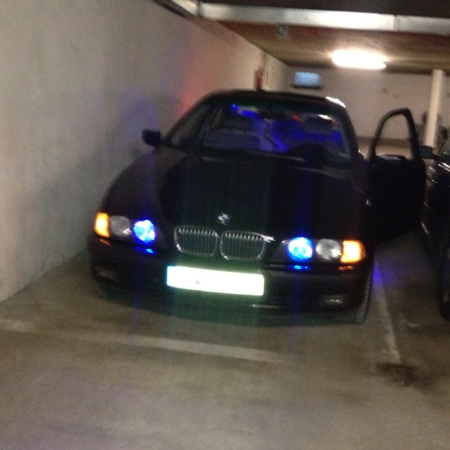 BMW 540i Blue Bull - 5er BMW - E39