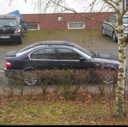 E46 FL 318i Orient <3 - 3er BMW - E46 E46 FL 318i Orient <3 - 3er BMW - E46