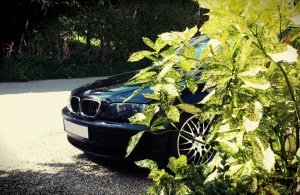 - SAPHIRSCHWARZE LIMO - - 3er BMW - E46