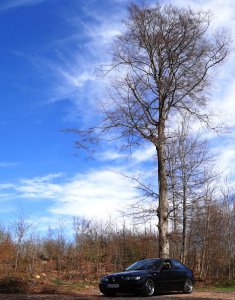 - SAPHIRSCHWARZE LIMO - - 3er BMW - E46 - SAPHIRSCHWARZE LIMO - - 3er BMW - E46