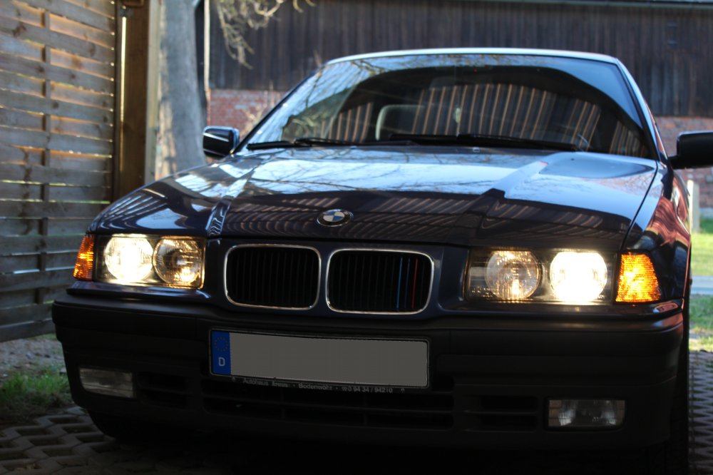 Mein BMW E36 Compact - 3er BMW - E36