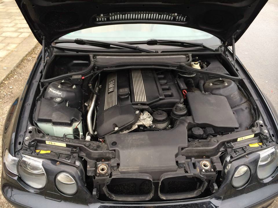 The Beast - ein starkes Stck Bayern (325ti) - 3er BMW - E46