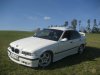 White Pearl E36 - 3er BMW - E36 - 196904_144900035575828_6529676_n.jpg