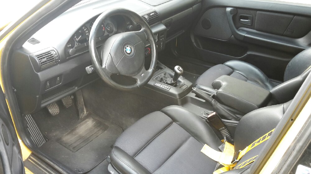 Ex 323ti SLE Individual M-Paket Dakargelb II - 3er BMW - E36