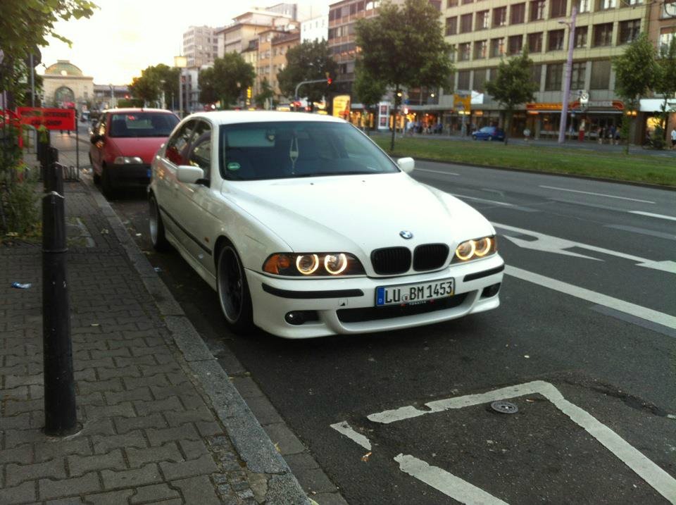 530D Alpinweiss 3 - 5er BMW - E39