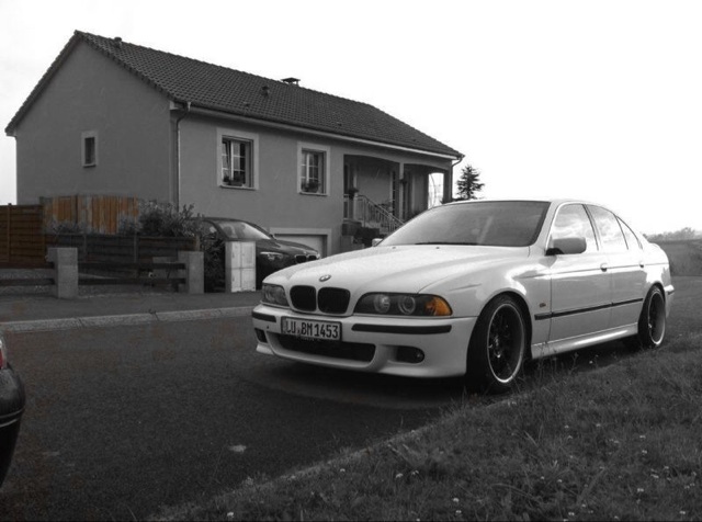 530D Alpinweiss 3 - 5er BMW - E39