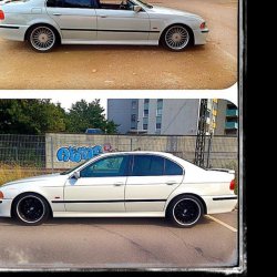 530D Alpinweiss 3 - 5er BMW - E39