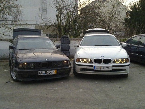 530D Alpinweiss 3 - 5er BMW - E39