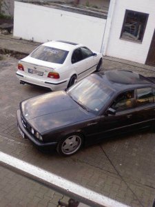 530D Alpinweiss 3 - 5er BMW - E39