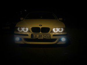 530D Alpinweiss 3 - 5er BMW - E39