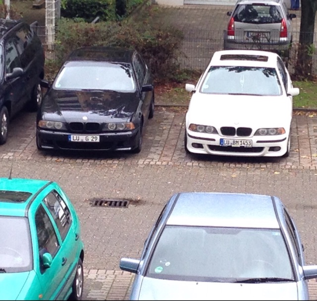 530D Alpinweiss 3 - 5er BMW - E39