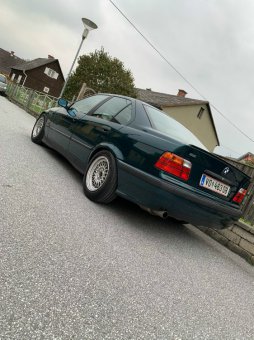 318is STW / Gruppe A, FMS - 3er BMW - E36