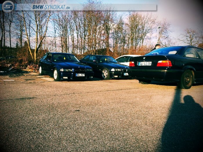 bmw e36 323 - 3er BMW - E36