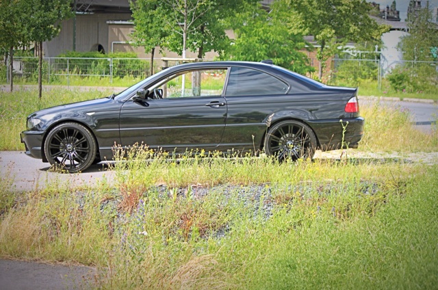 Golden Digger 2k14 - 3er BMW - E46