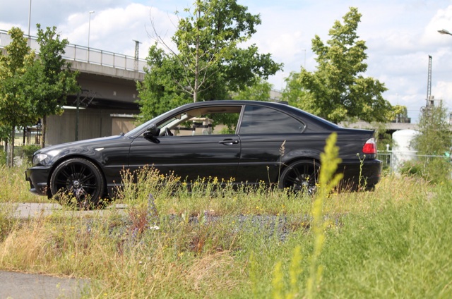 Golden Digger 2k14 - 3er BMW - E46