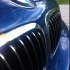 BMW Nieren Niere