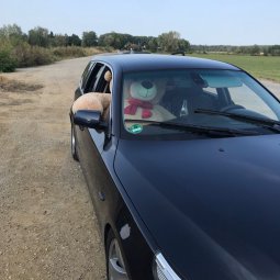 e61, 530d - 5er BMW - E60 / E61