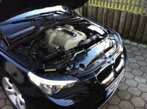 Mein 545er - 5er BMW - E60 / E61